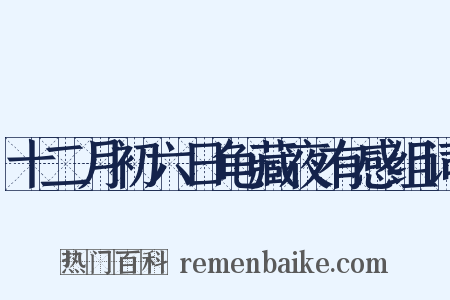 十二月初六日龟藏夜有感组词是什么意思的图片